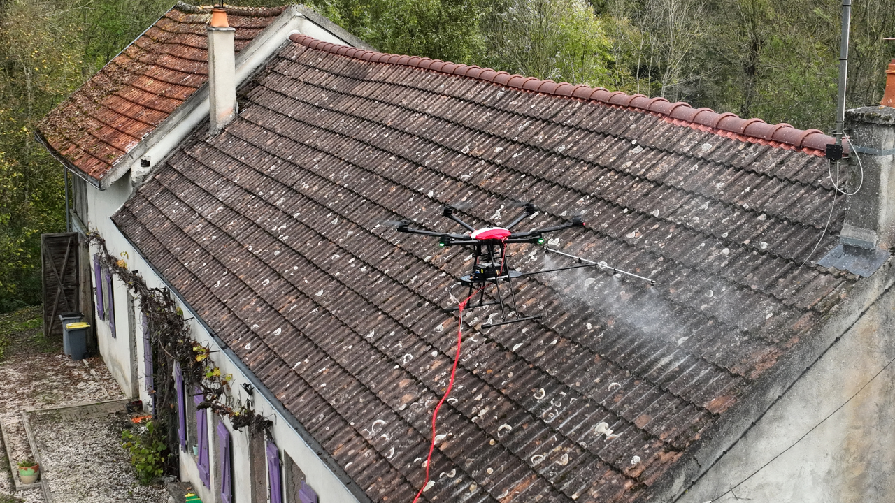 Pourquoi de la mousse se forme sur la toiture ?